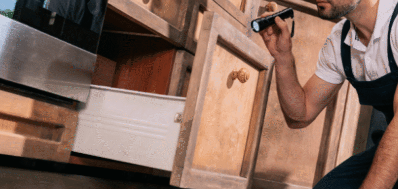 general pest control-pesteraser