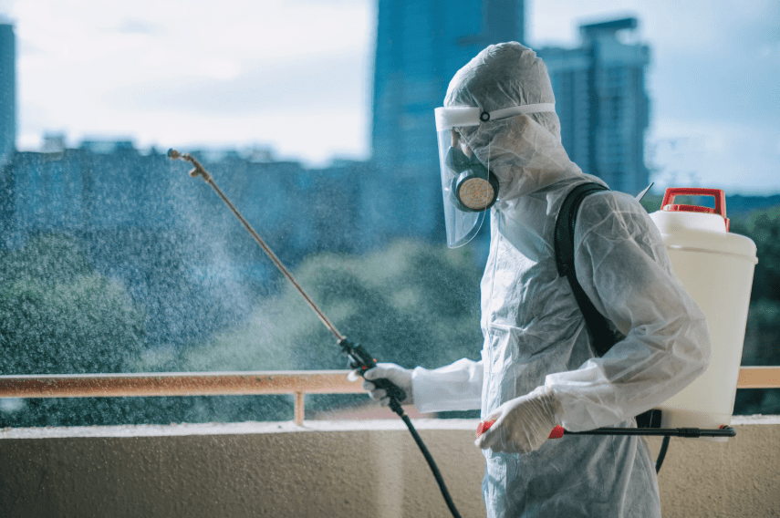 pesteraser home pest control