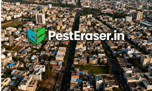 ezgif.com-webp-maker (24)