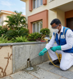 Anti-Termite Treatment